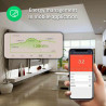 NOUS - TUYA WIFI Smart Plug + 15A Consumption Metering