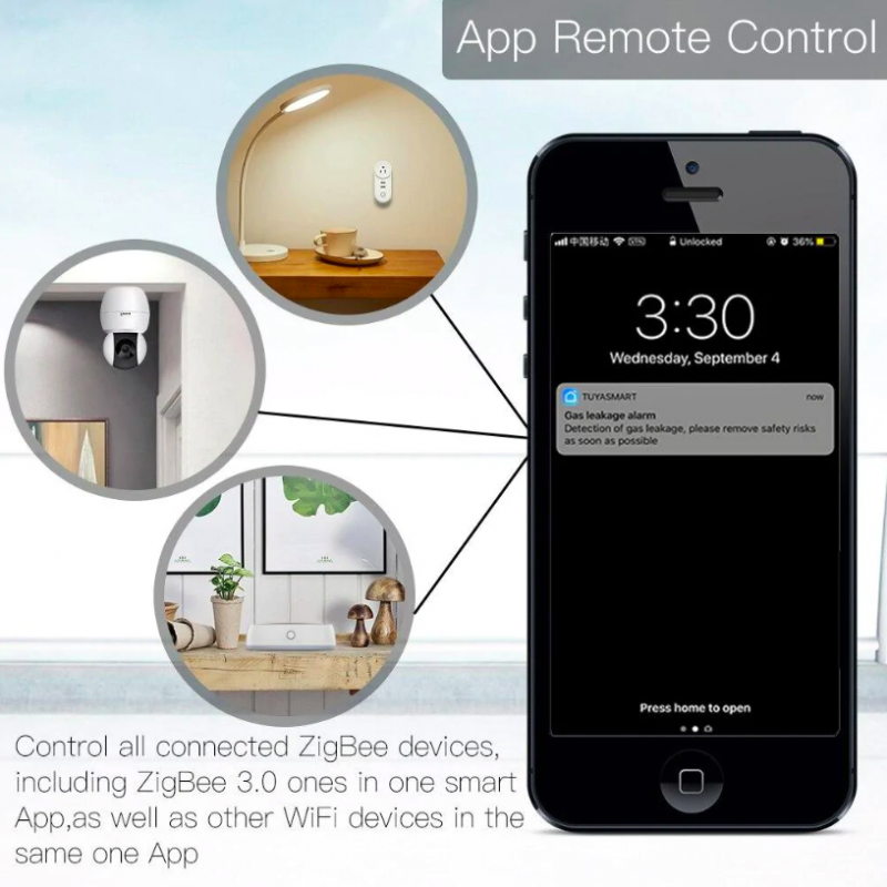 Tuya smart smart home automation devices (2)