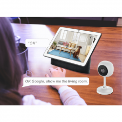 WOOX - WIFI Wired Indoor Camera (TUYA SmartLife, ALEXA and Google Assistant)