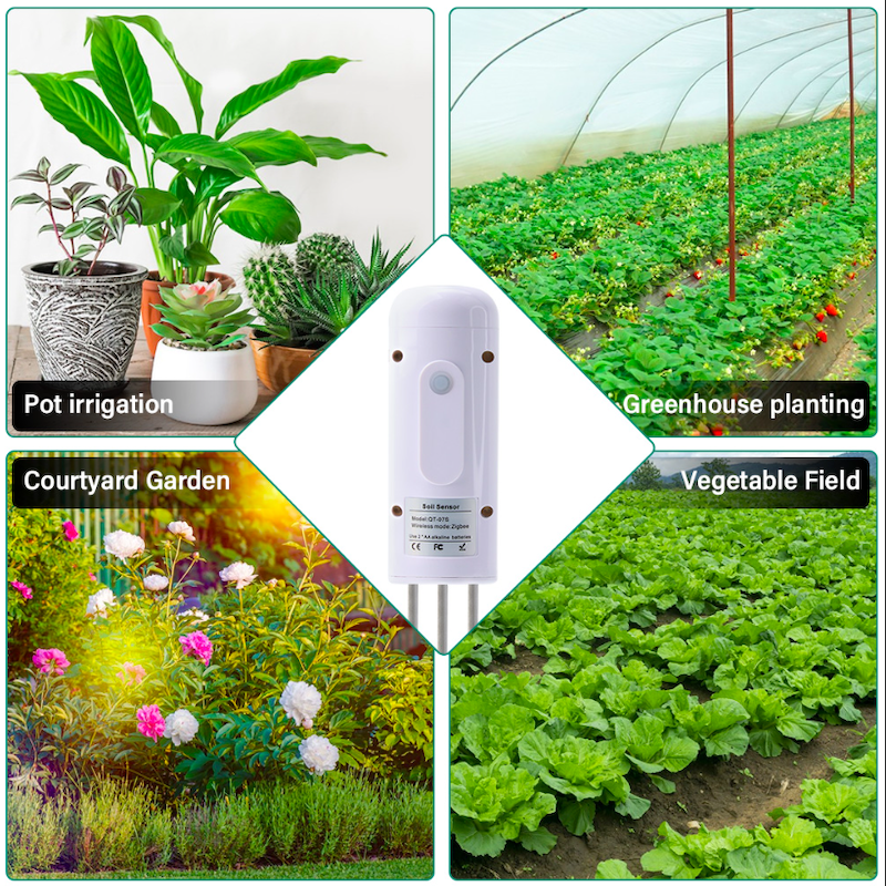 REHENT - Capteur température/humidité pour jardin et plantes Zigbee