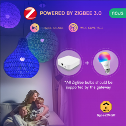 2x Zigbee 3.0 connected bulb compatible Tuya & Zigbee2Mqtt - NOUS