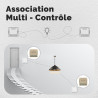 MOES - Module ON/OFF WIFI Tuya 1 canal + Mesure de consommation