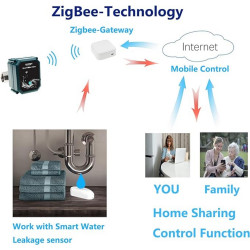 FRANKEVER - Vanne d'eau intelligente Zigbee Tuya (compatible Zigbee2Mqtt)