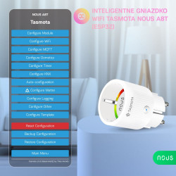 NOUS - 2x WIFI Smart Plug + Consumption Metering (TASMOTA)