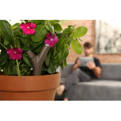 PARROT - Capteur Bluetooth pour plantes Flower Power, marron