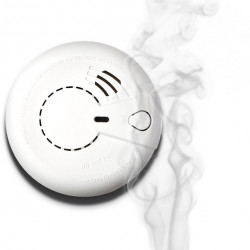 FUMEREX - CO and Smoke Sensor with SMS Notification