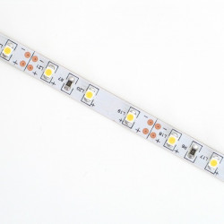 Ruban de LED blanches 3528 - 5m